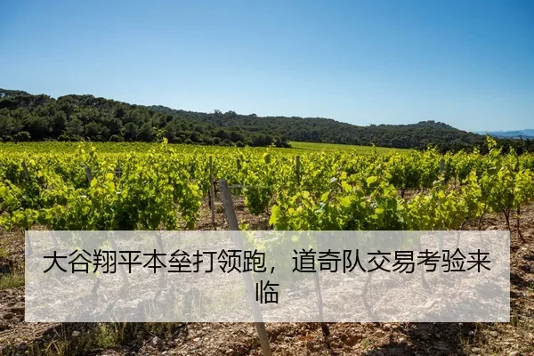 大谷翔平本垒打领跑，道奇队交易考验来临