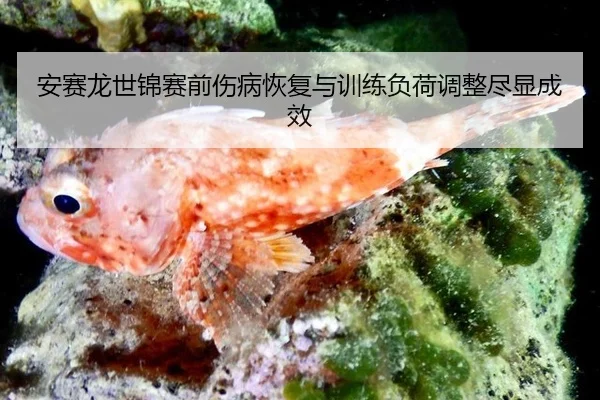 an-sai-long-shi-jin-sai-qian-shang-bing-hui-fu-yu-xun-lian-fu-he-tiao-zheng-jin-xian-cheng-xiao-3-471.jpg