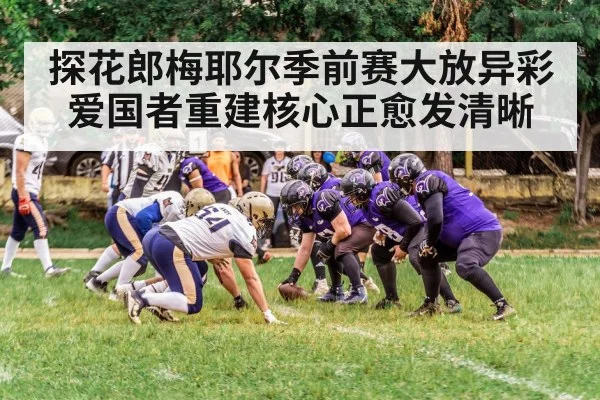 探花郎梅耶尔季前赛大放异彩 爱国者重建核心正愈发清晰