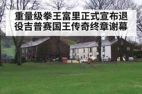 重量级拳王富里正式宣布退役吉普赛国王传奇终章谢幕