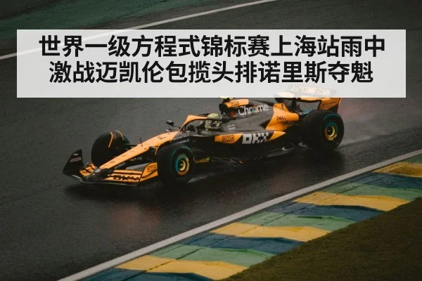 世界一级方程式锦标赛上海站雨中激战迈凯伦包揽头排诺里斯夺魁